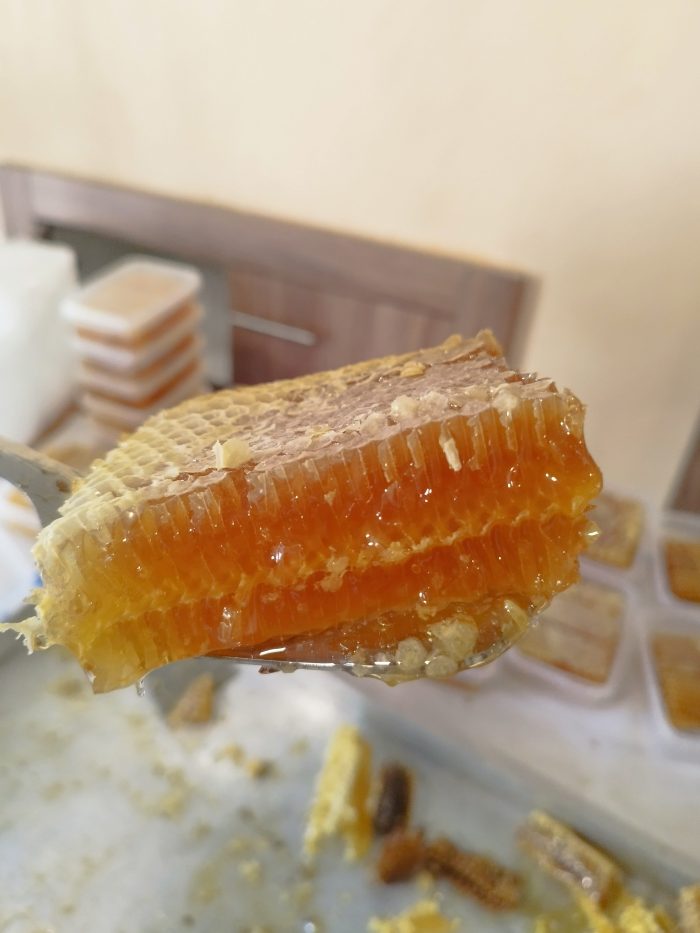 Κηρήθρα